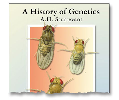 Fruit Flies and Their Importance in Genetics Research - The Atlantic